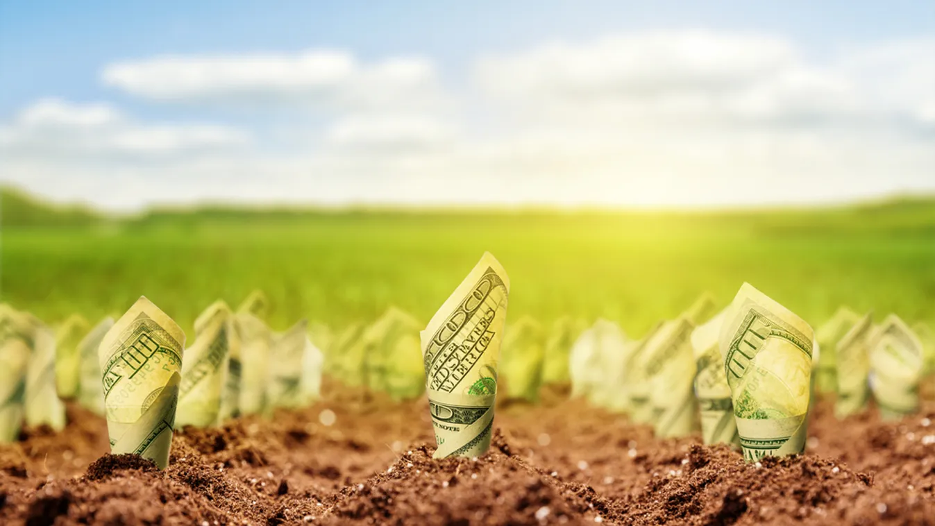 Pénzt hoz a tavasz, ennek a 4 csillagjegynek mázlija lesz