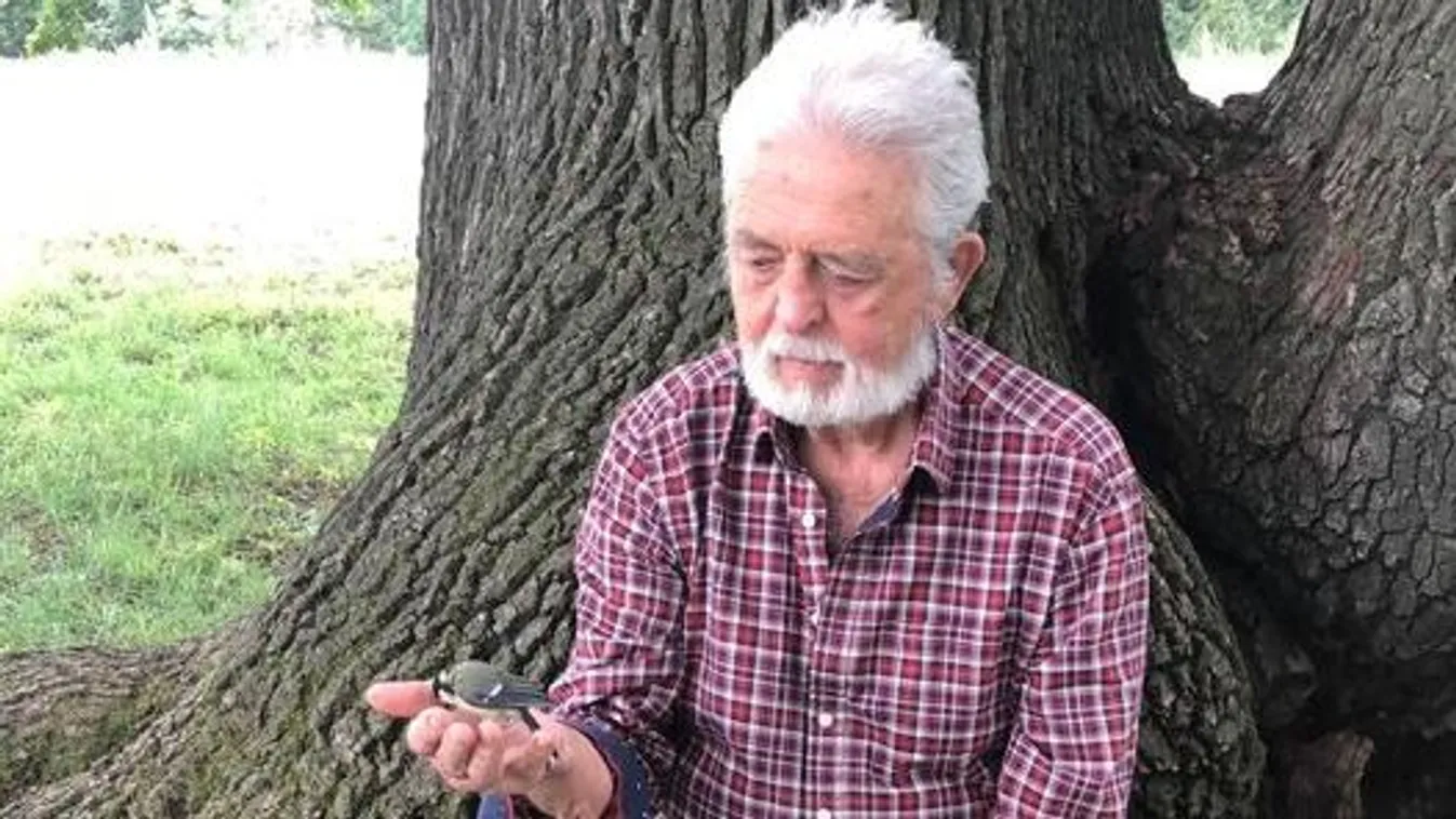 Sorra búcsúznak tanítványai és tisztelői Béky Lászlótól