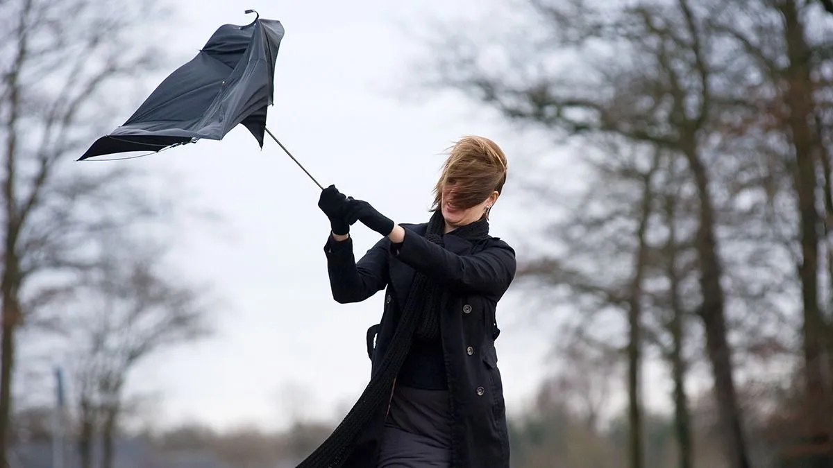 A,Young,Woman,Is,Fighting,Against,The,Storm,With,Her