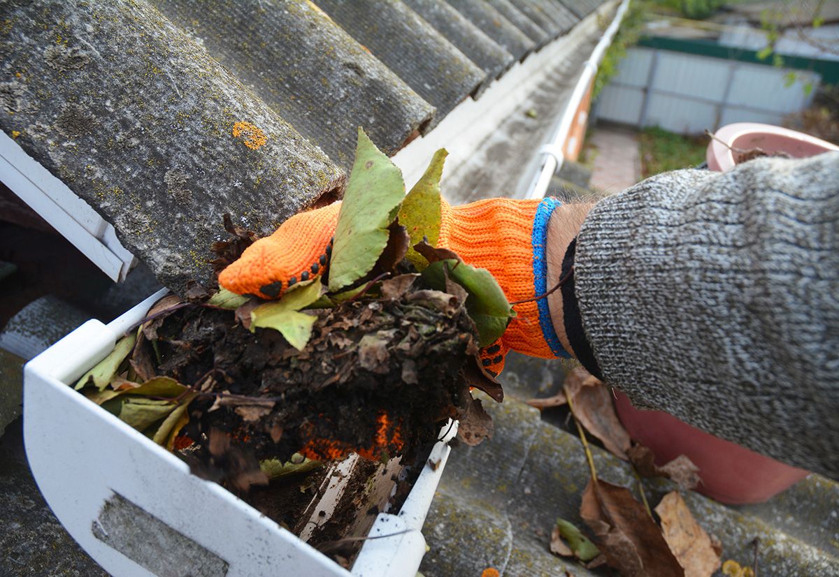 A,Man,Is,Cleaning,A,Clogged,Roof,Gutter,From,Dirt,