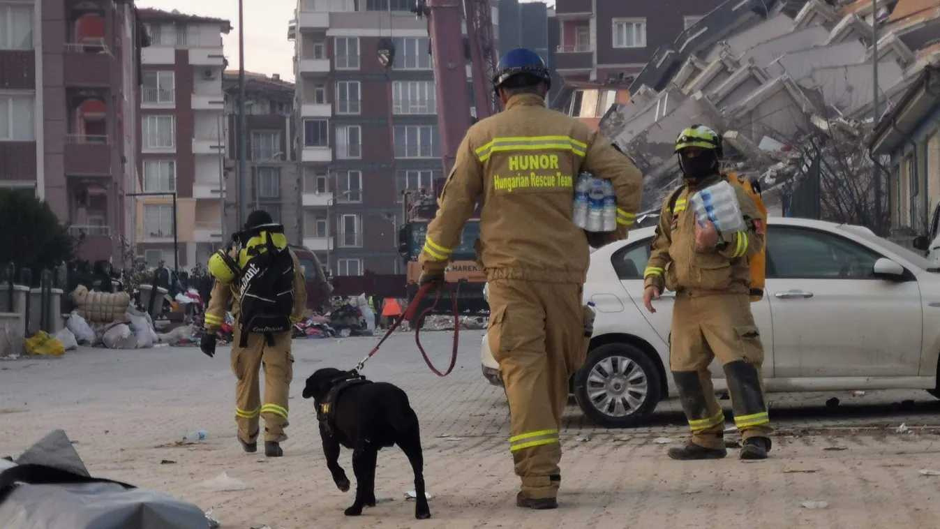 Már négy keresőkutya dolgozik a Hunor mentőszervezettel