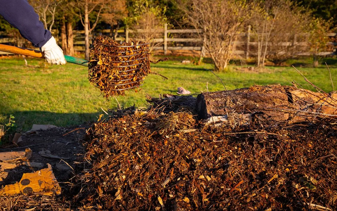 HăĽgelkultur,Gardening,Step,5,Build,The,Mound,With,Compost,And