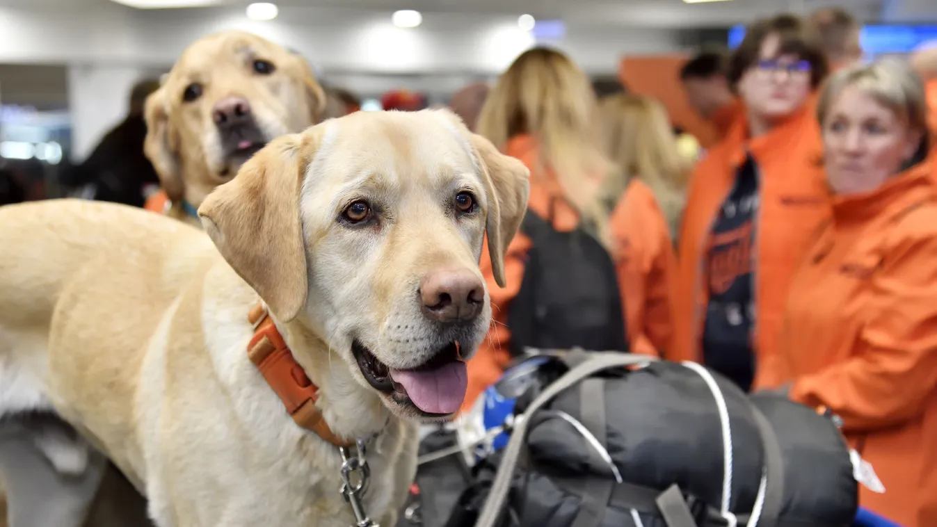 Így érkeztek meg a magyar hősök Törökországból