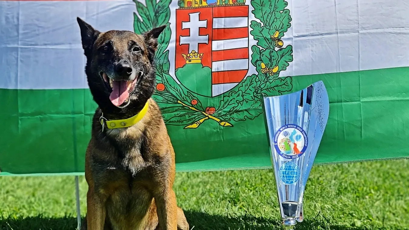 Így dolgozik Karma, a magyar mentőkutya Törökországban