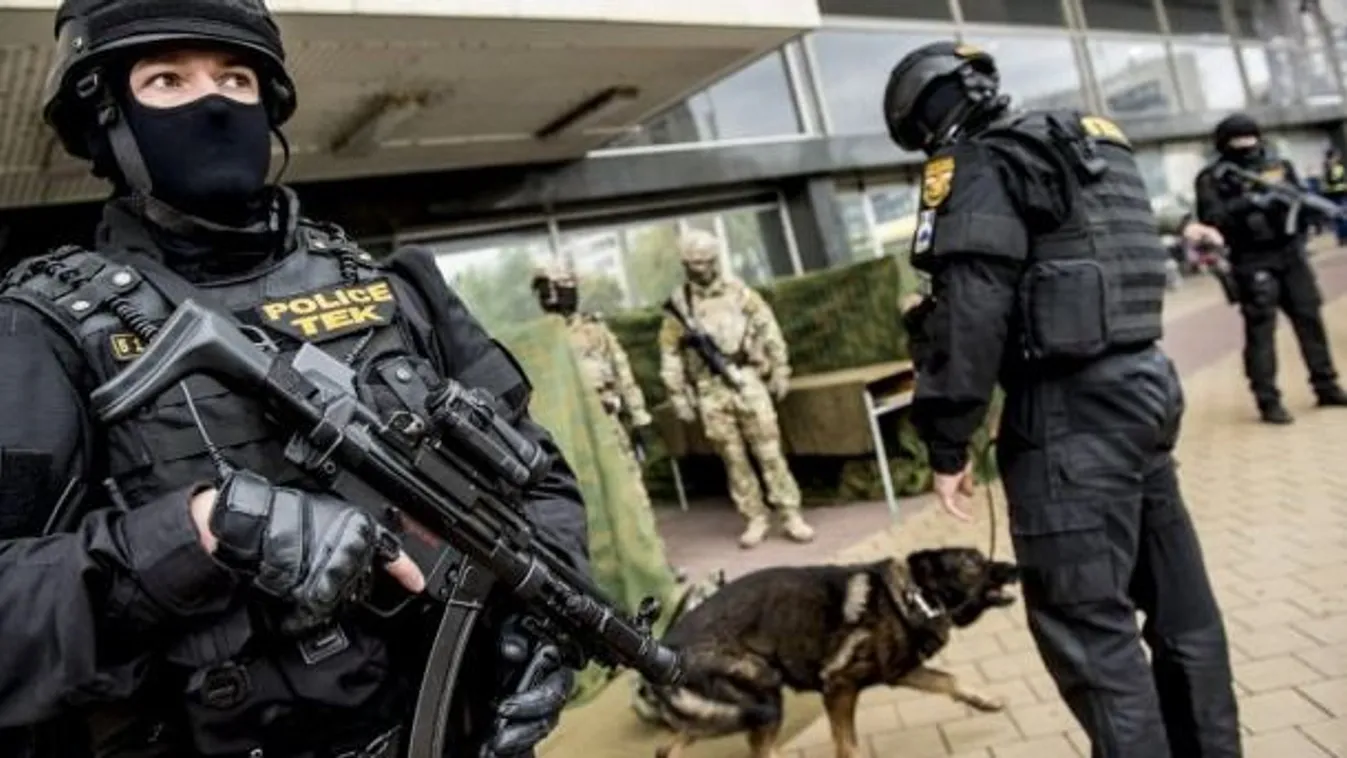 Zalaegerszegi lakásából lövöldözött, a TEK lecsapott rá