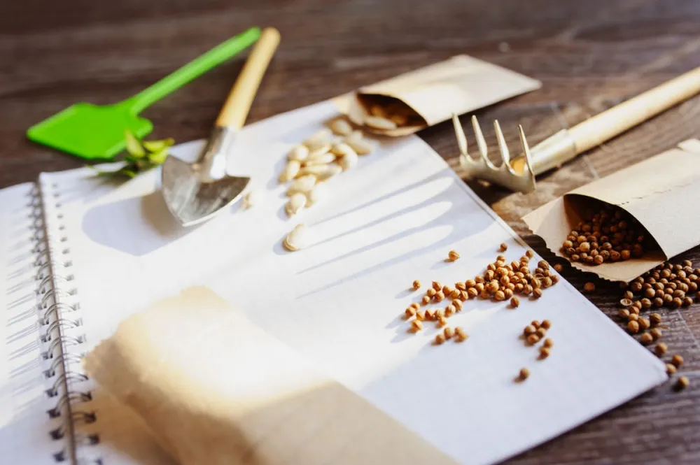 február kert vetés magok gazdaság,mezőgazdaság