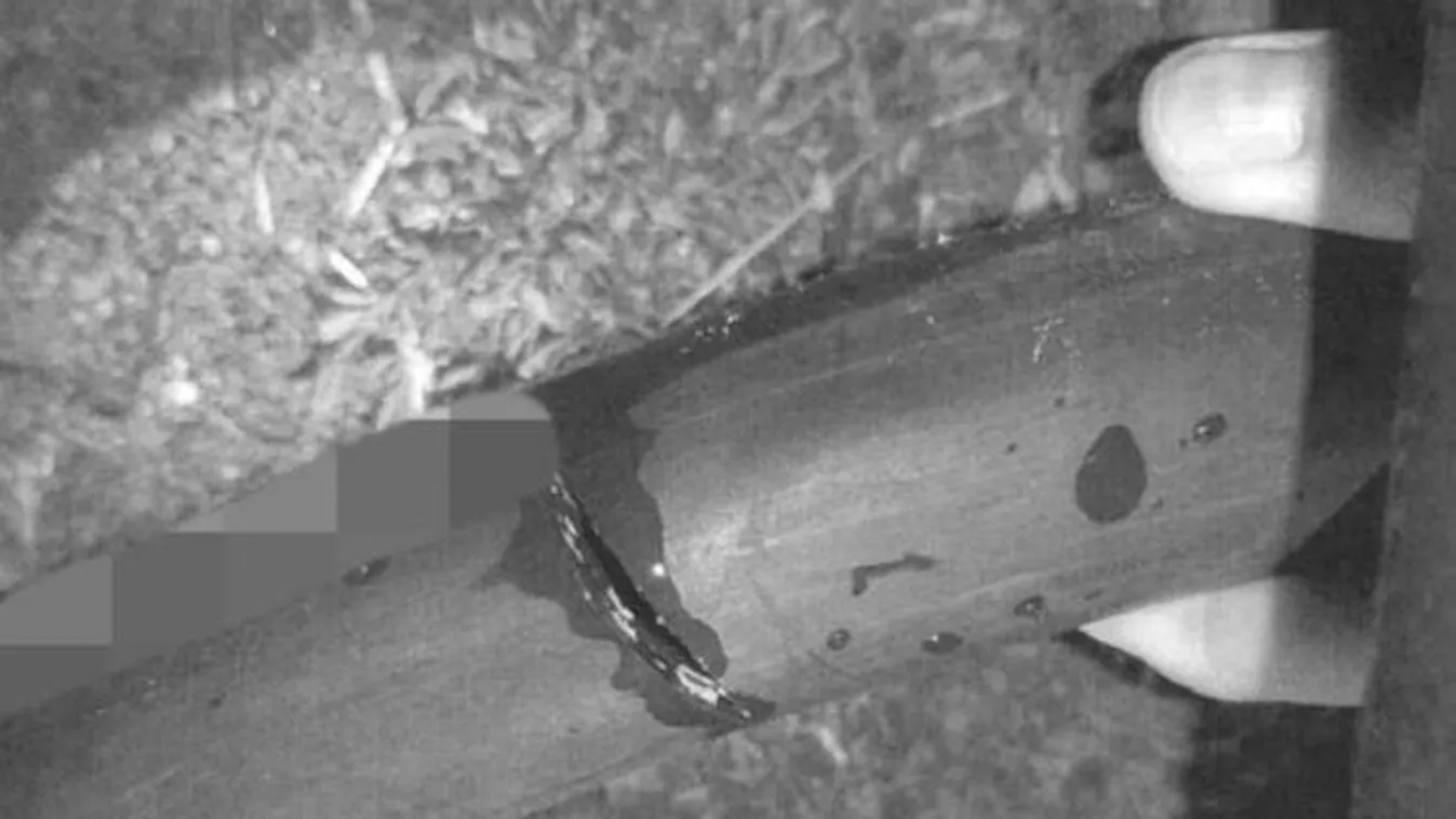  Elvágta a tűzoltók tömlőjét a tűz károsultja