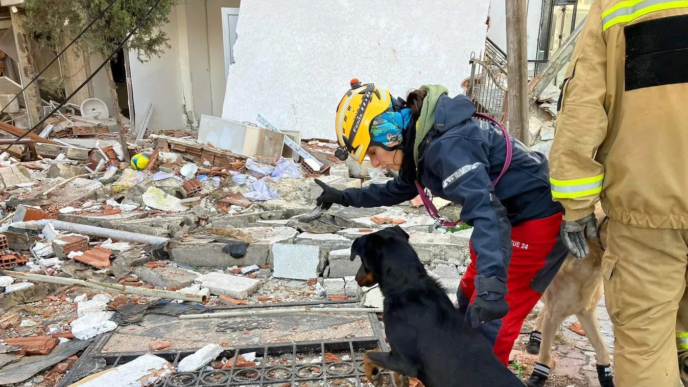 Képeken a török földrengés magyar négylábú hősei