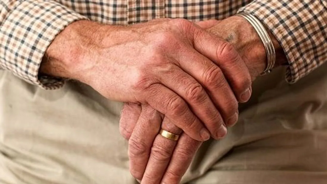 Megölte magatehetetlen férjét az ittas győri asszony