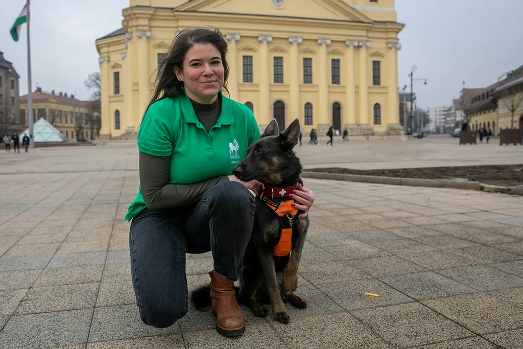 Kovács Ilka, Níla, kutya, mentő kutya, mentőkutya, törökország, földrengés