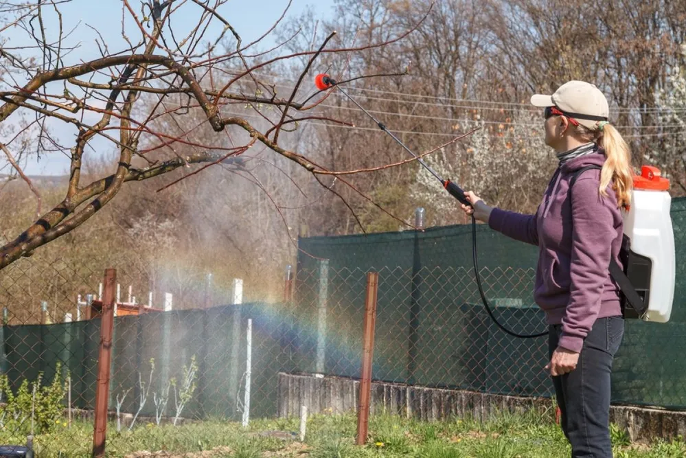 Woman,In,Protective,Glasses,,Spraying,Fungicides,On,A,Flowering,Fruit