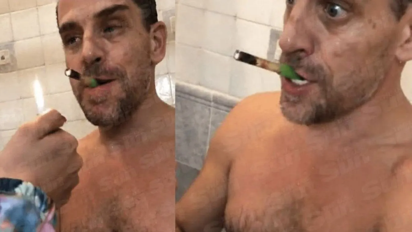 Joe Biden fia beismerte, hogy igazak a korrupciós vádak