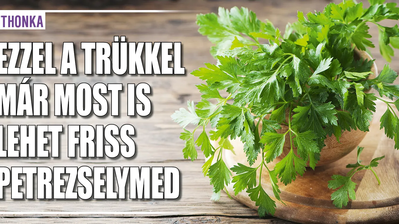 Ezzel a trükkel már most is lehet friss petrezselymed