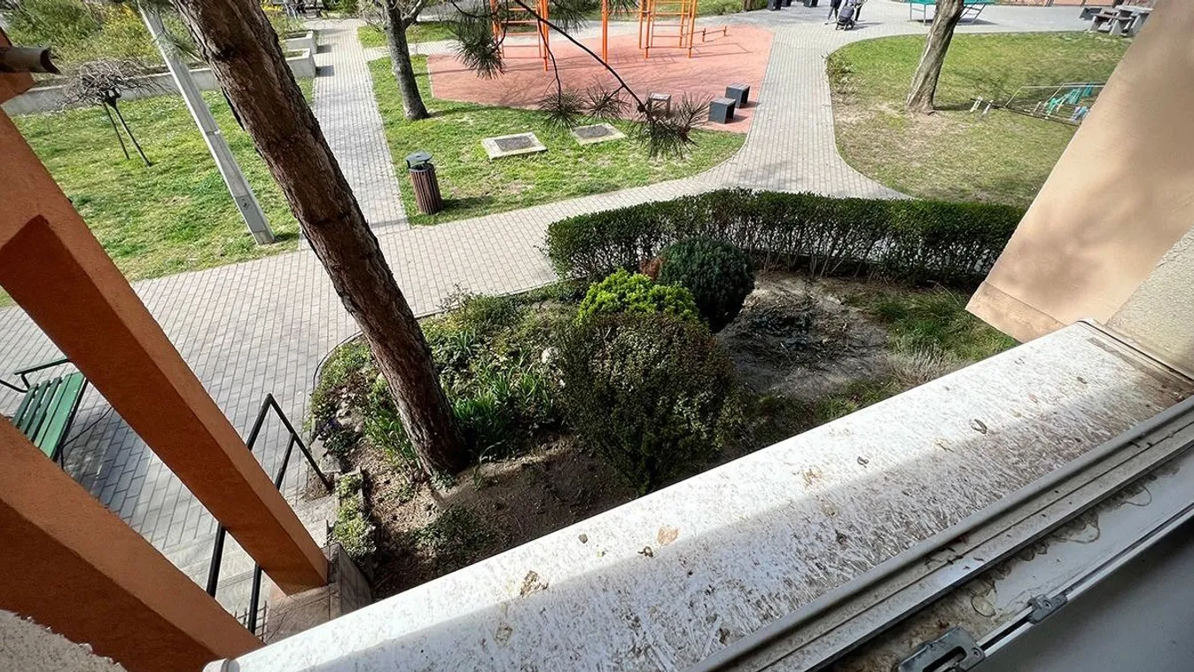 Madárürülék lepett el egy budai társasházat - videó