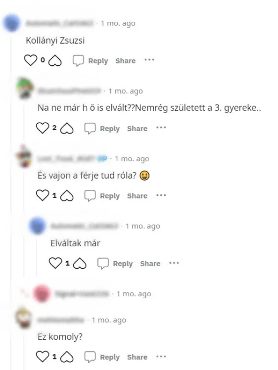 Kollányi Zsuzsi válás, új szerelem, Konyhafőnök győztes