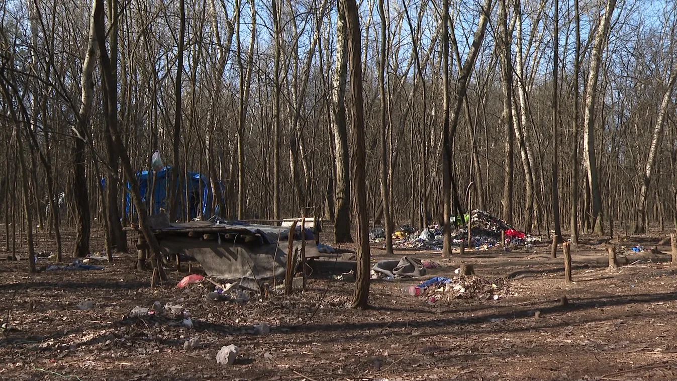 Nem is tagadják a migránsok a törvénytelen cselekedeteiket