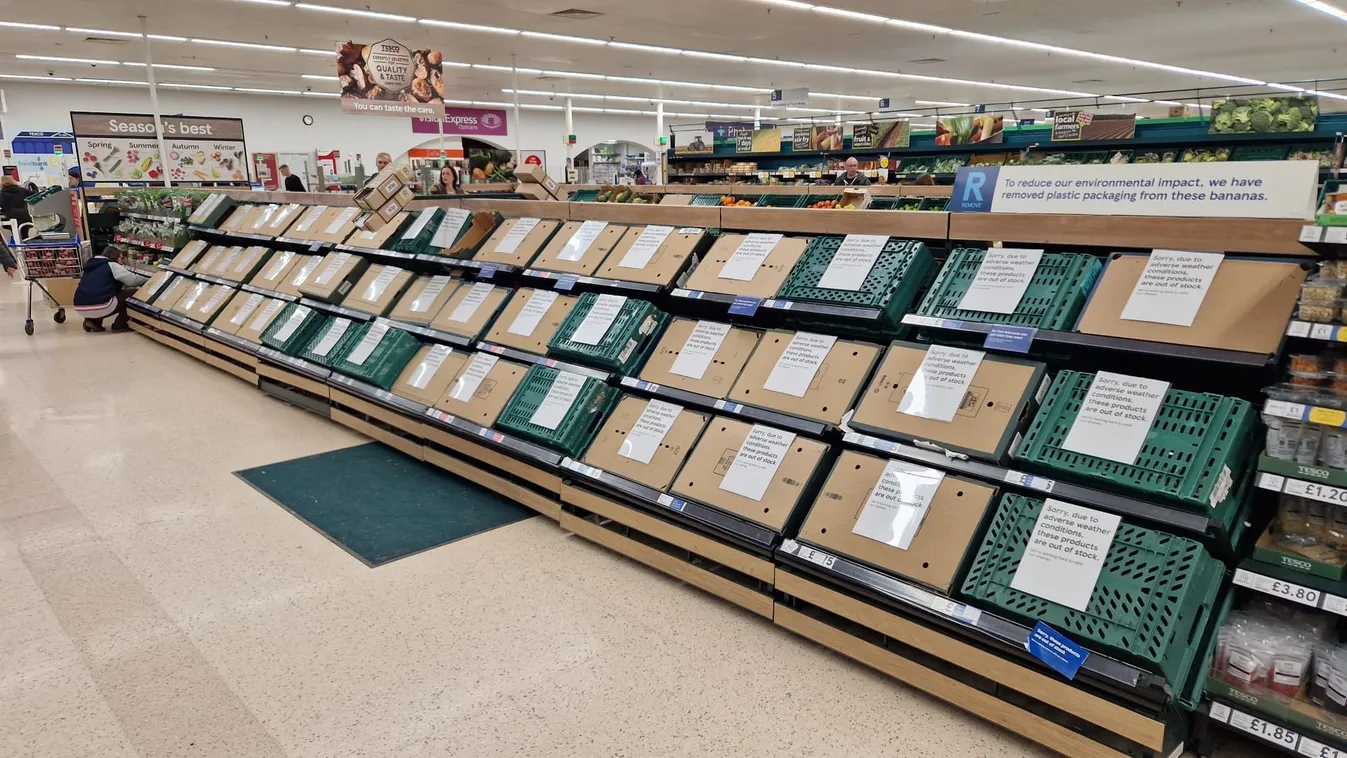 Brutális zöldséghiány sújtja Nagy Britanniát!