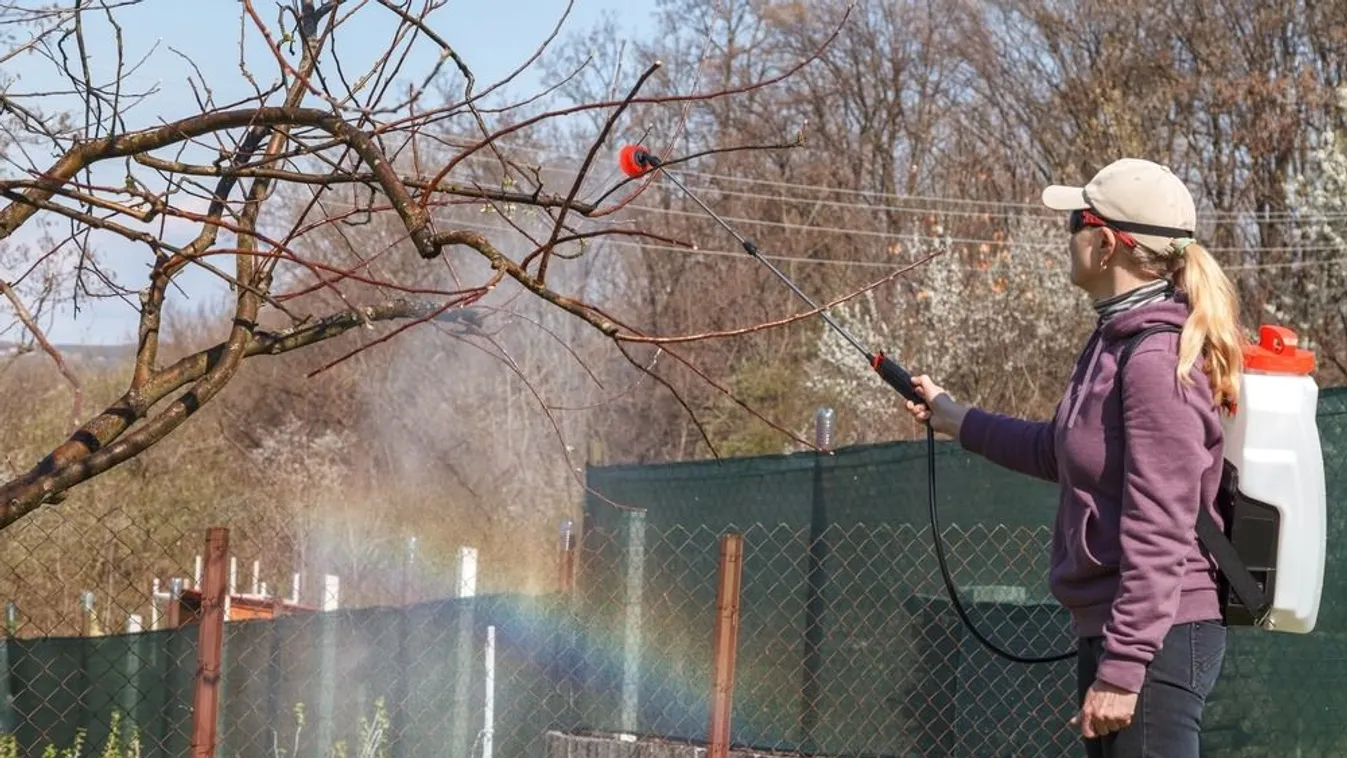 Most végezd el ezt a kerti munkát, ha jót akarsz a fáidnak!