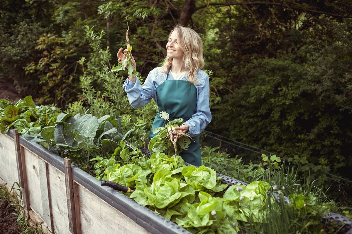 Young,Beautiful,Blonde,Woman,Harvesting,Horseradish,In,The,Garden