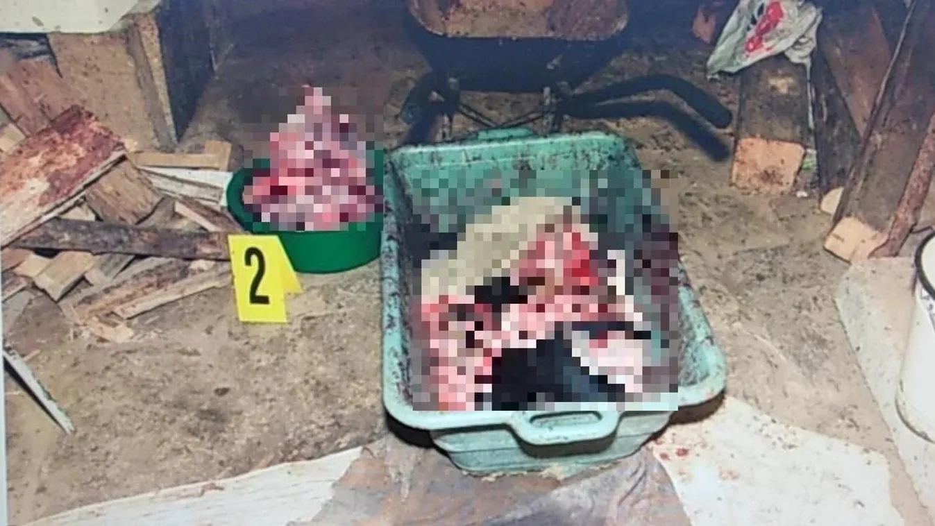 Családjának akarta felszolgálni a kutyahúst az állatkínzó