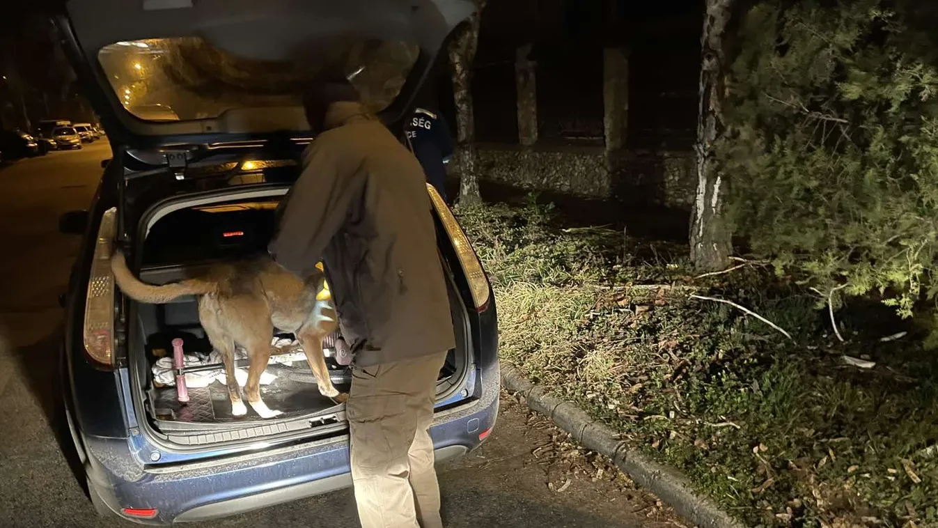 Elfogta a rendőrség S. Ferencet