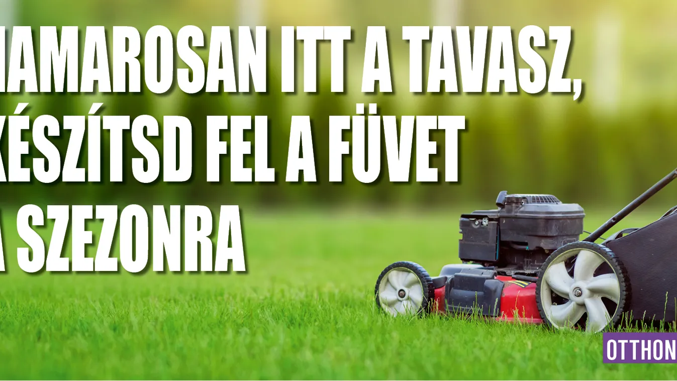 Jön a tavasz, készítsd fel a füvet a szezonra
