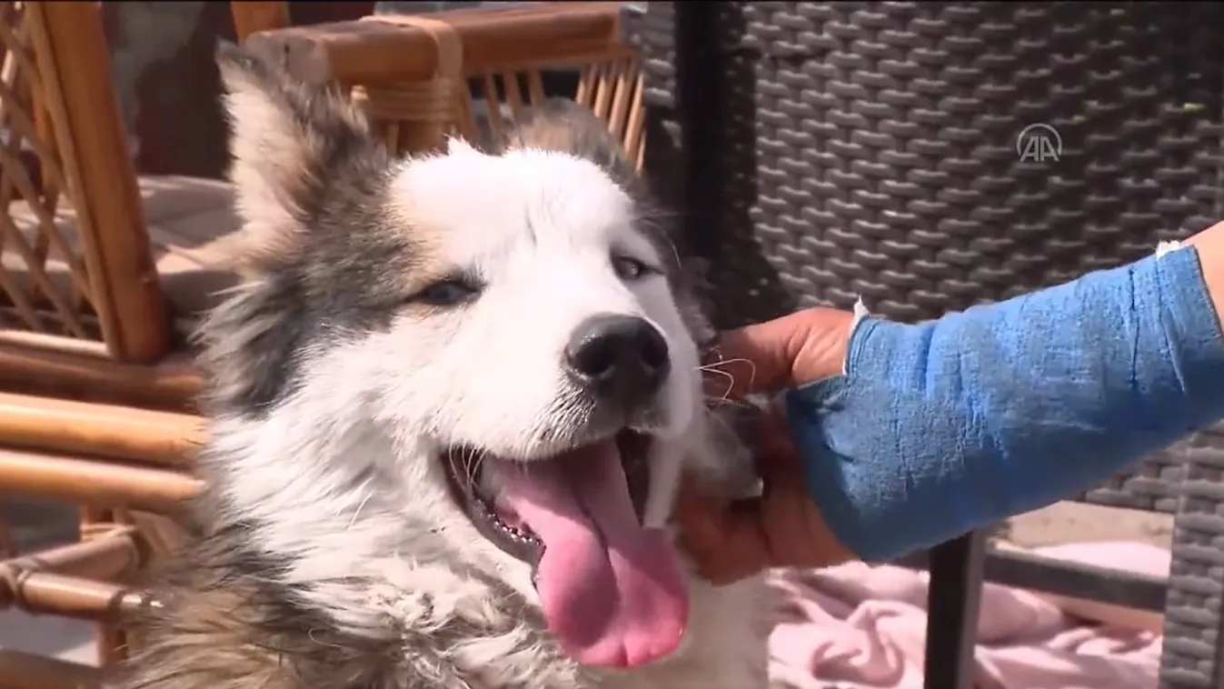 23 nap után húzták ki a romok alól Alexet Törökországban