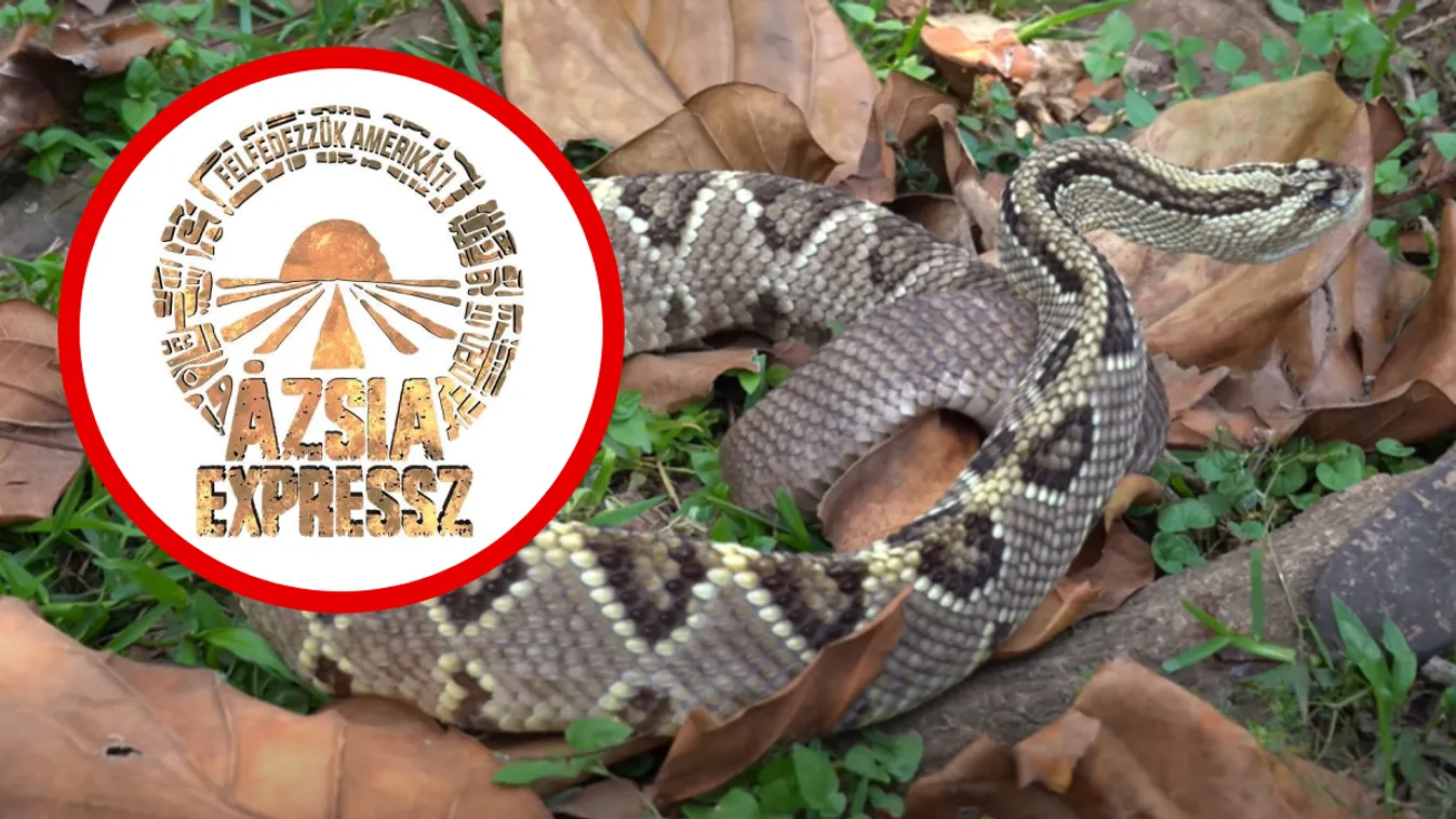 Mindenhol veszély leselkedik az Ázsia Expressz sztárjaira