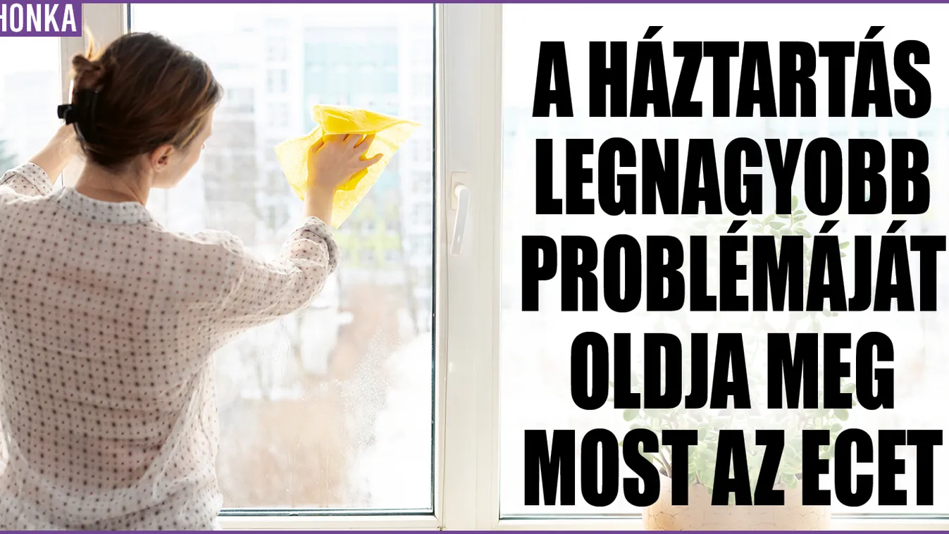 A háztartás legnagyobb problémáját oldja meg most az ecet