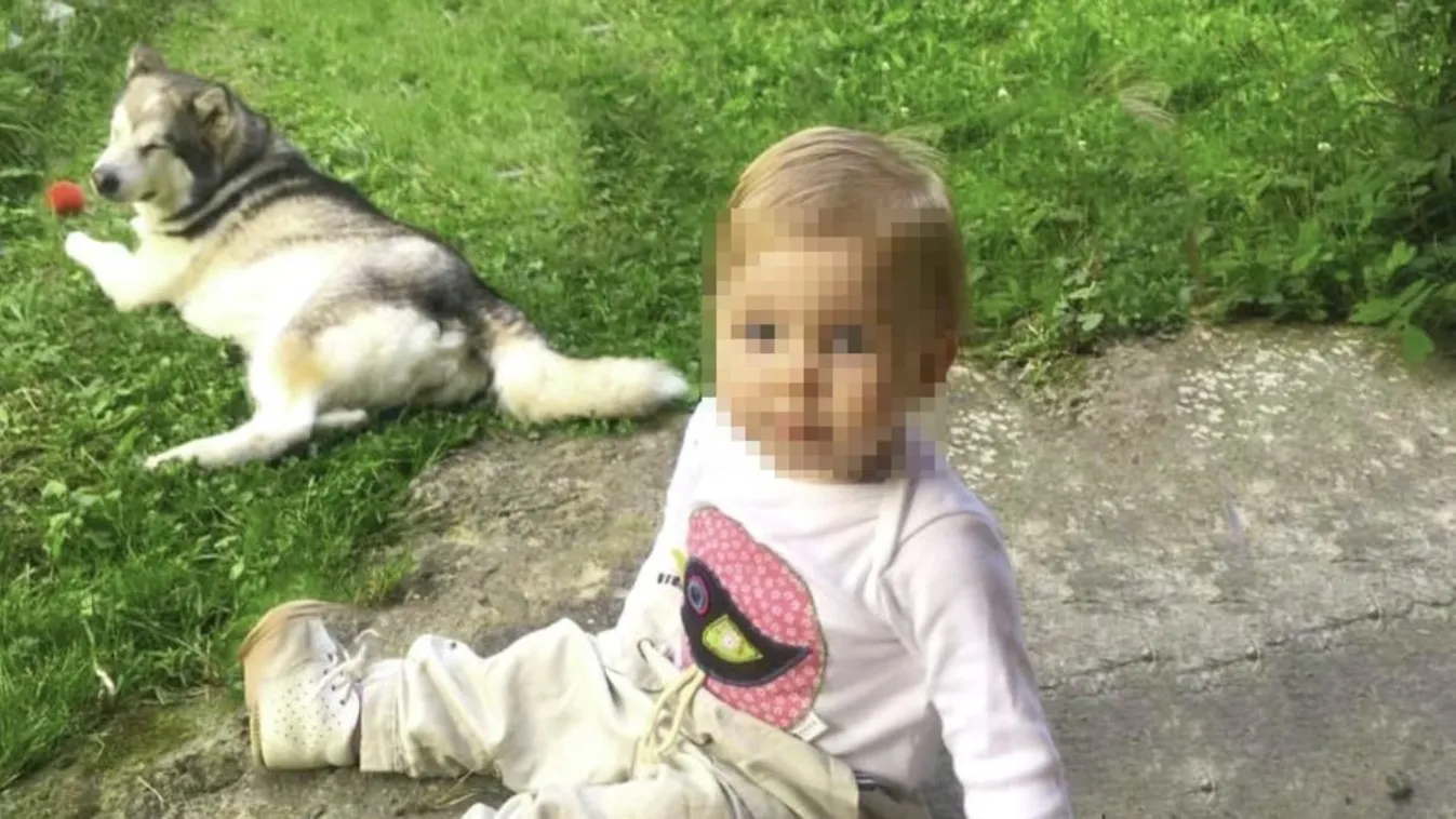 Kivégezték az egyéves kislány legjobb barátját