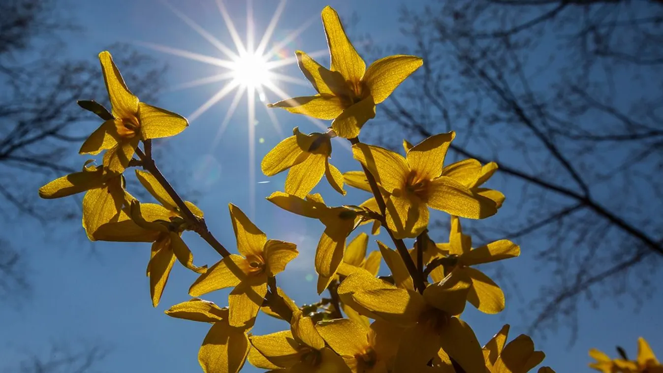 Berobban a tavasz: ilyen időre számíthatunk