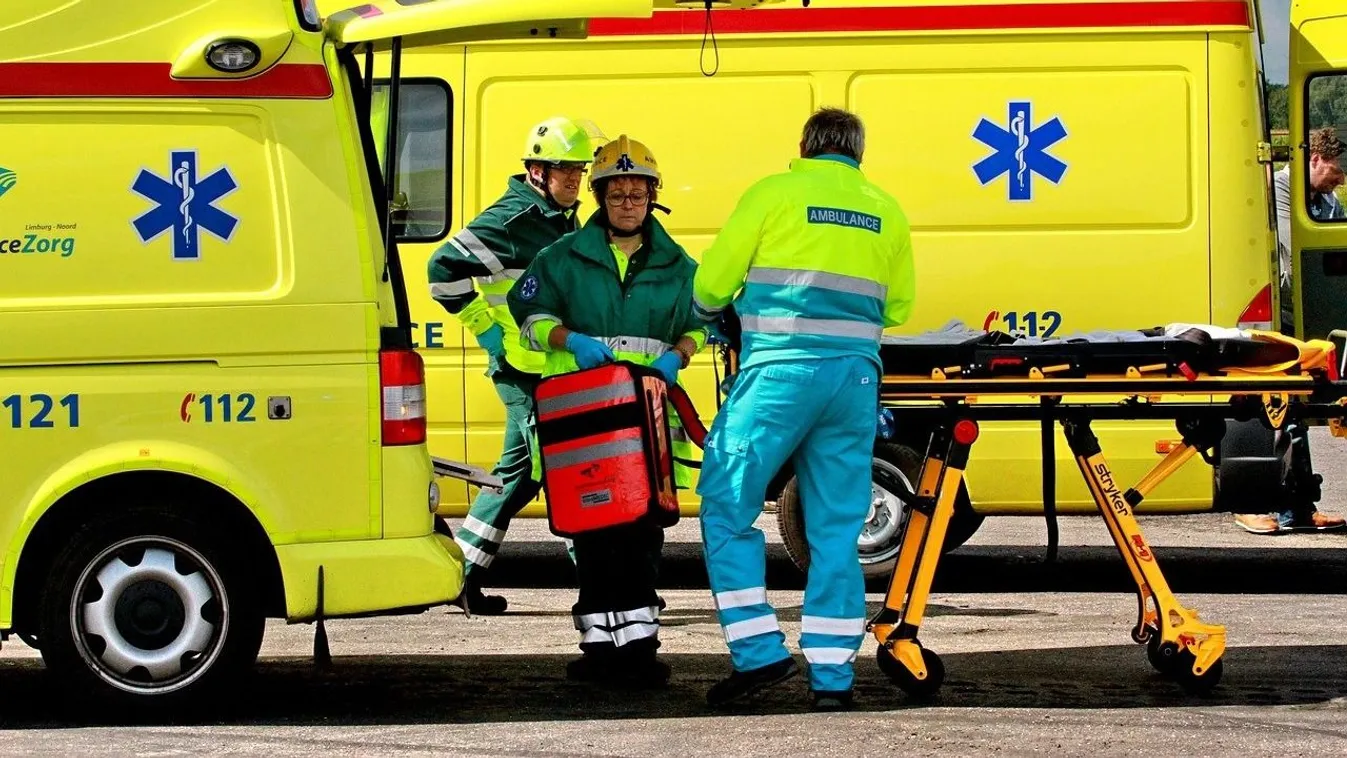 Kétszer is megcsípte a nőt a gyilkos mérgű kékgyűrűs polip