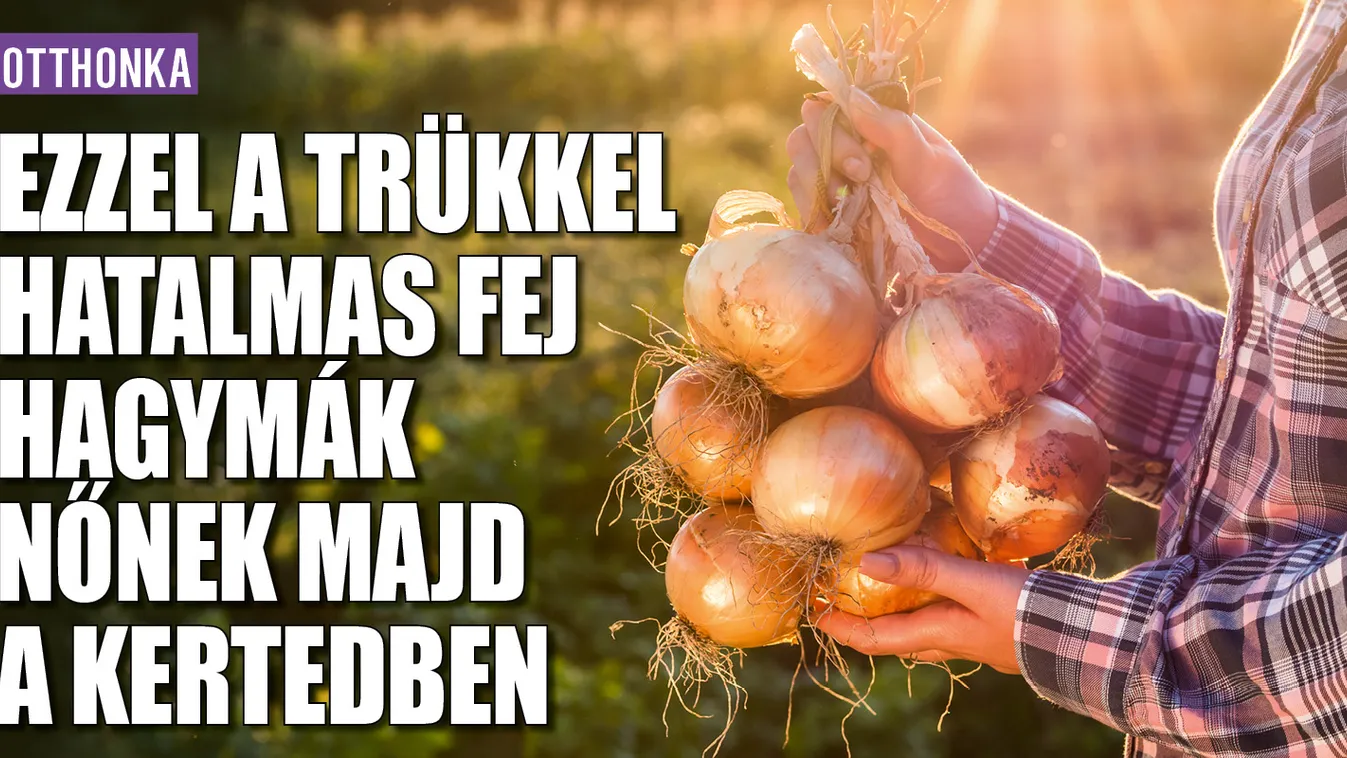 Ezzel a trükkel hatalmas fej hagymák nőnek majd a kertedben