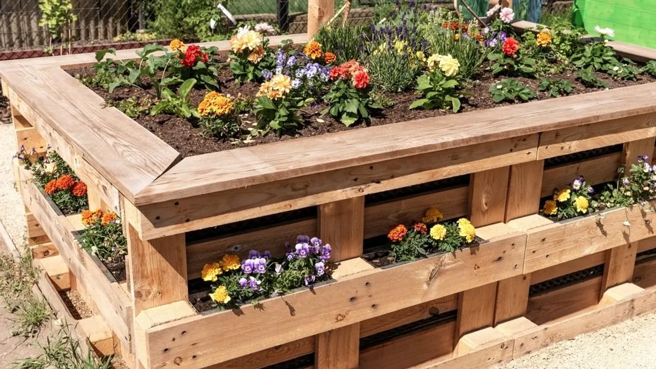 Ezeket a növényeket soha ne ültesd magaságyásba