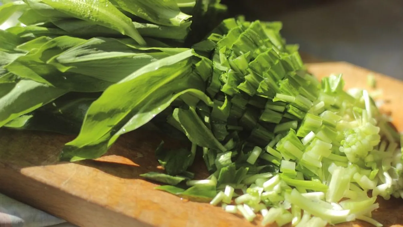 Elindult a medvehagymaszezon - erre figyelj, ha szeded