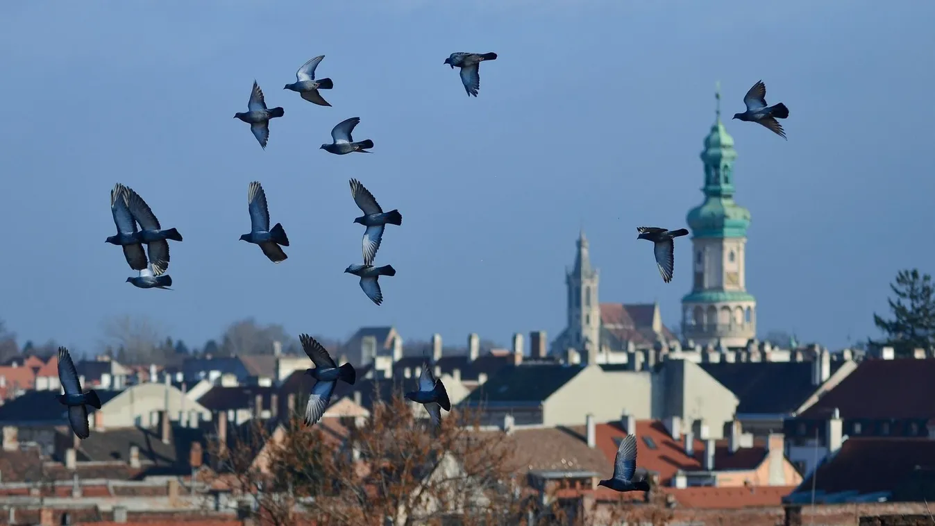 Rengett a föld Ausztriában, nálunk is érezni lehetett