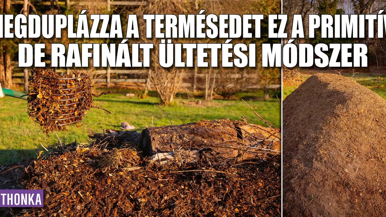 Megduplázza a termésedet ez a primitív ültetési módszer