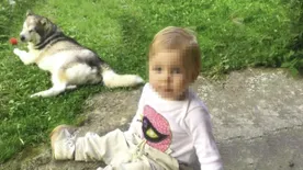 Felfoghatatlan: végeztek az egyéves kislány legjobb barátjával