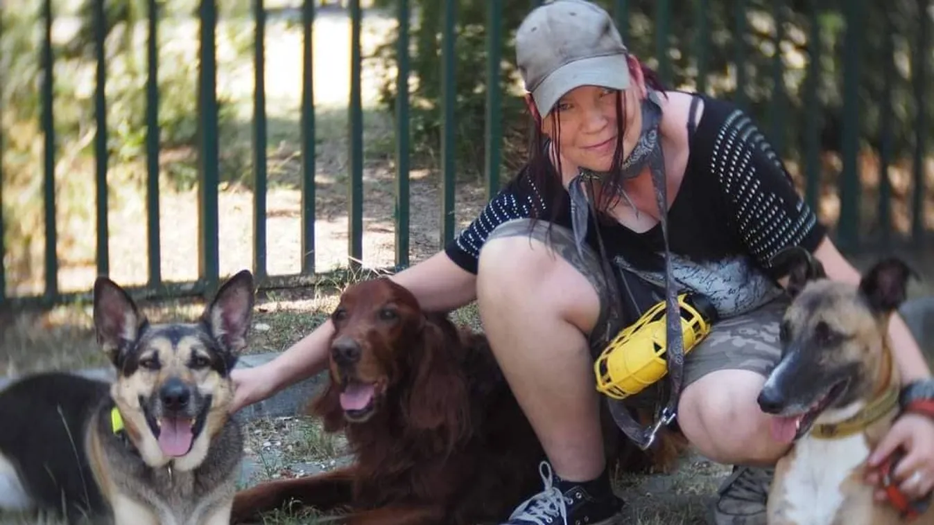 Brutális kutyatámadás történt Budapesten