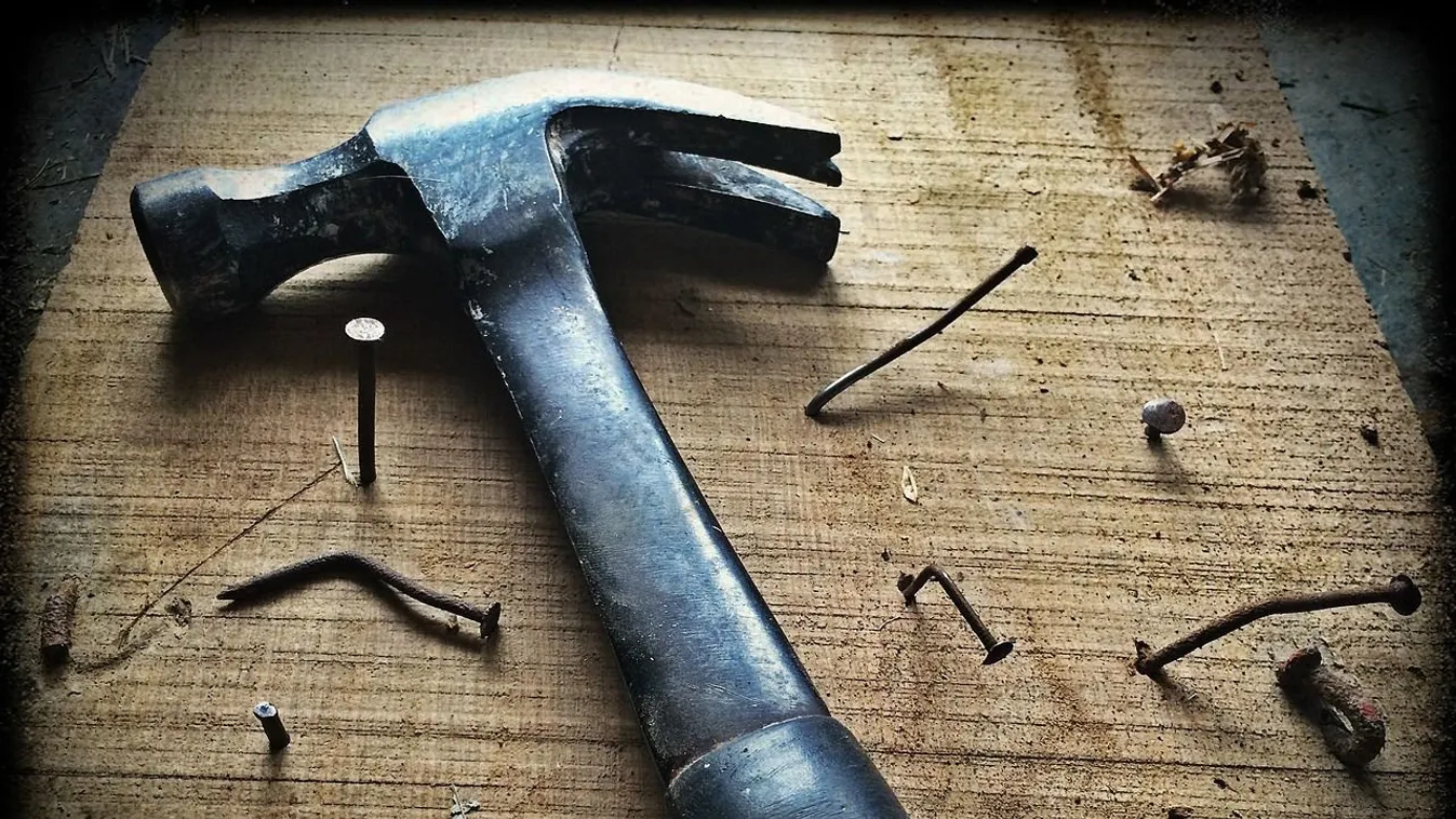 Vádat emeltek a férfi ellen, aki brutálisan meggyilkolt egy nyugdíjas tanárnőt Polgárdiban