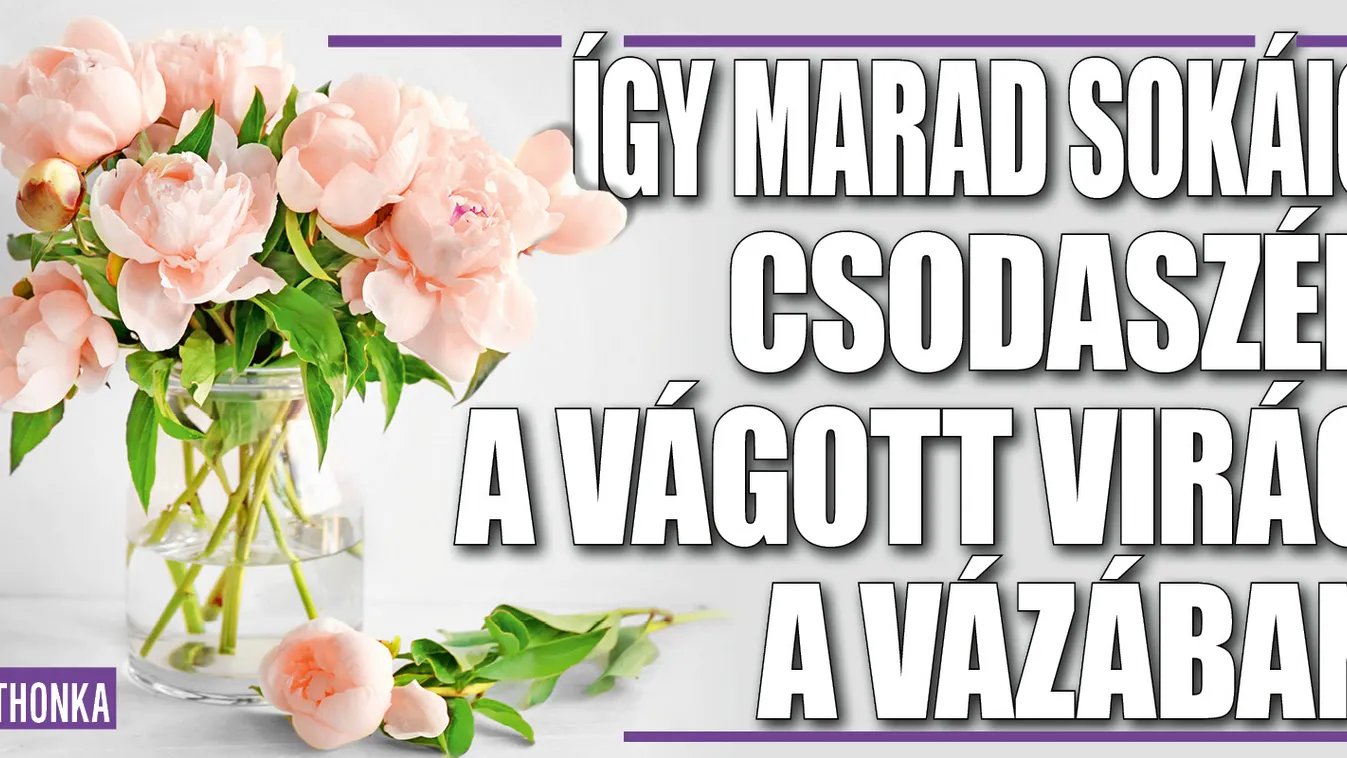 Így marad sokáig csodaszép a vágott virág a vázában