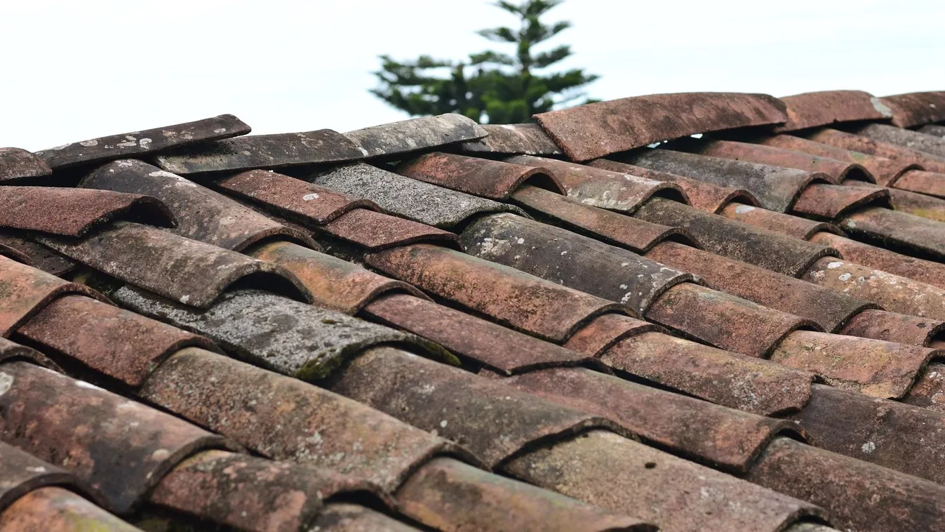 Métereket zuhant – szörnyethalt egy magyar munkás Petőfalván