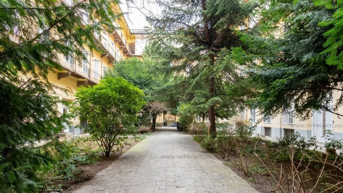 Időutazós belső kert a Gozsdu udvar nyüzsgő környékén