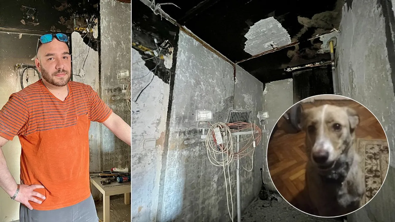 Így élte túl az újpalotai lakástüzet egy kutya – videó