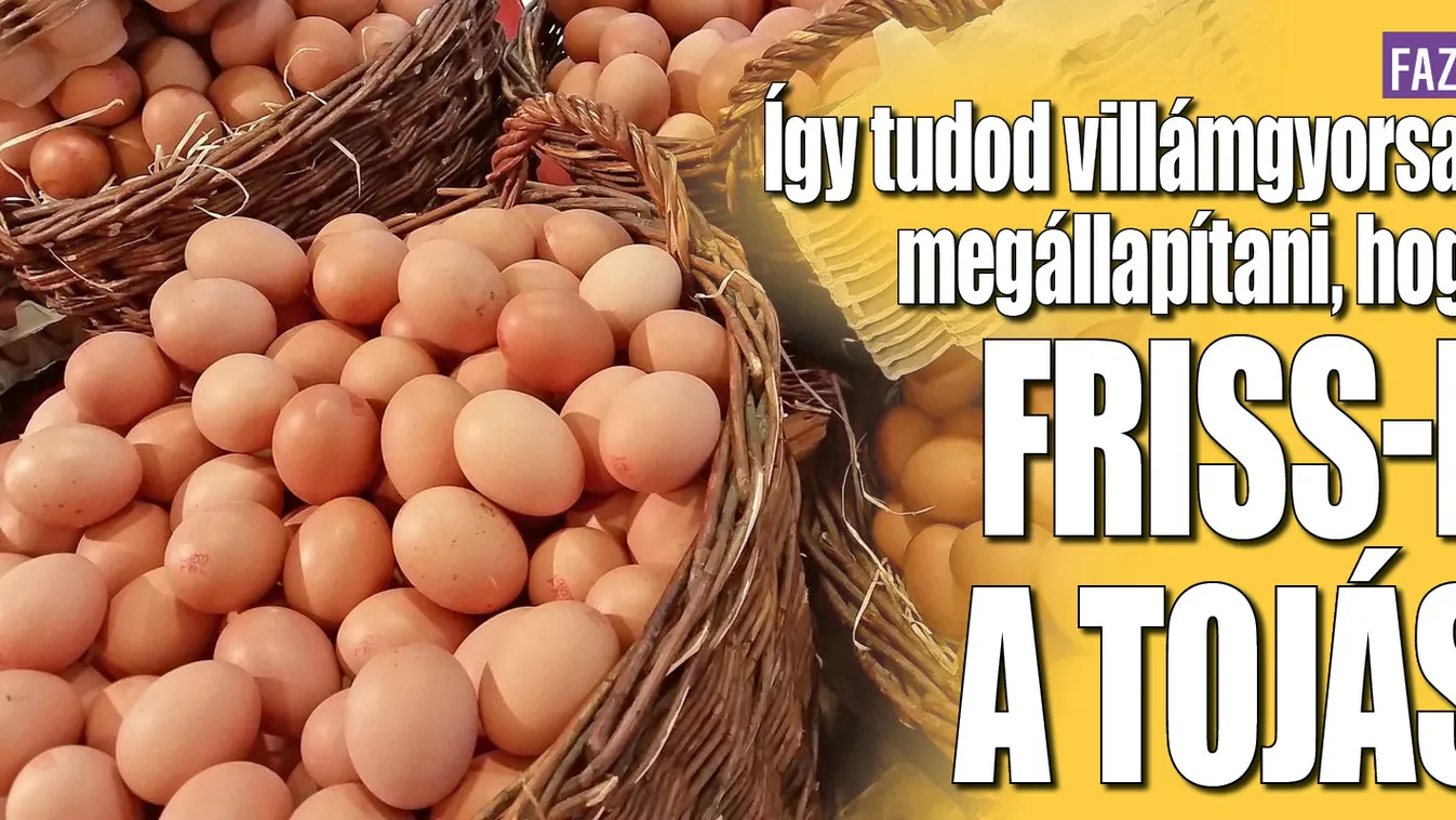 Így tudod villámgyorsan megállapítani, hogy friss-e a tojás