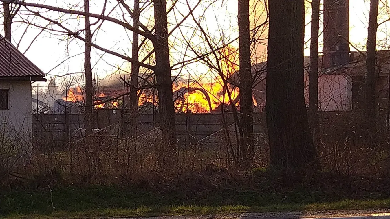 Tűz Monorierdőn: szemtanúk meséltek az óriási pusztításról