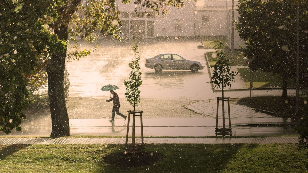 Lecsap a vihar: 10 vármegyéjére adott ki riasztást a meteorológia