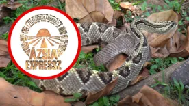 Mindenhol veszély leselkedik az Ázsia Expressz sztárjaira