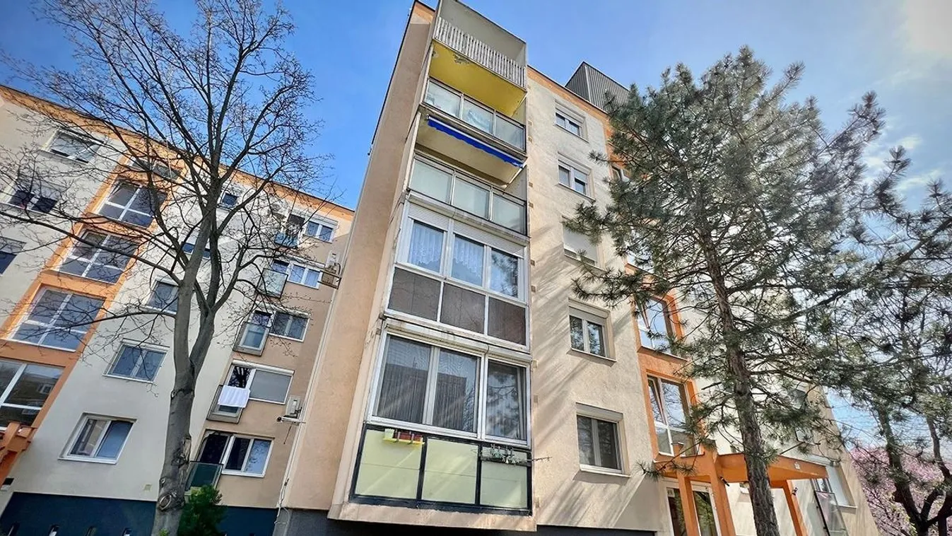 Minden beborít a galambürülék egy XXII. kerületi házban