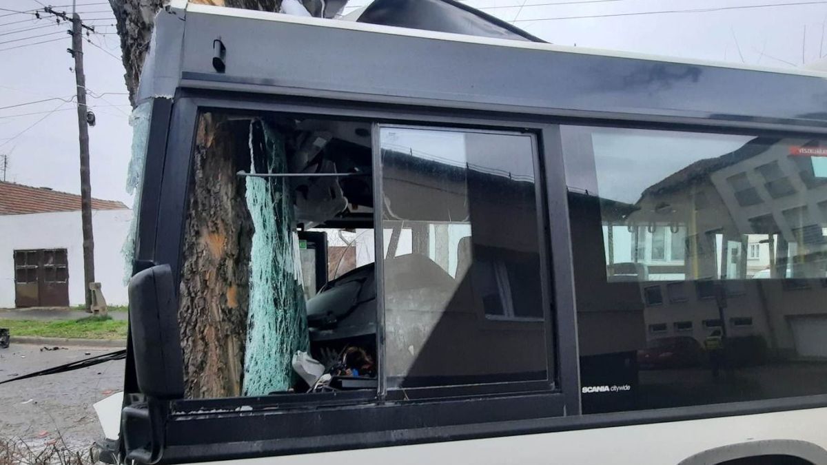 Szegedi buszbaleset: Óriási szerencséje volt a buszt vezető sofőrnek